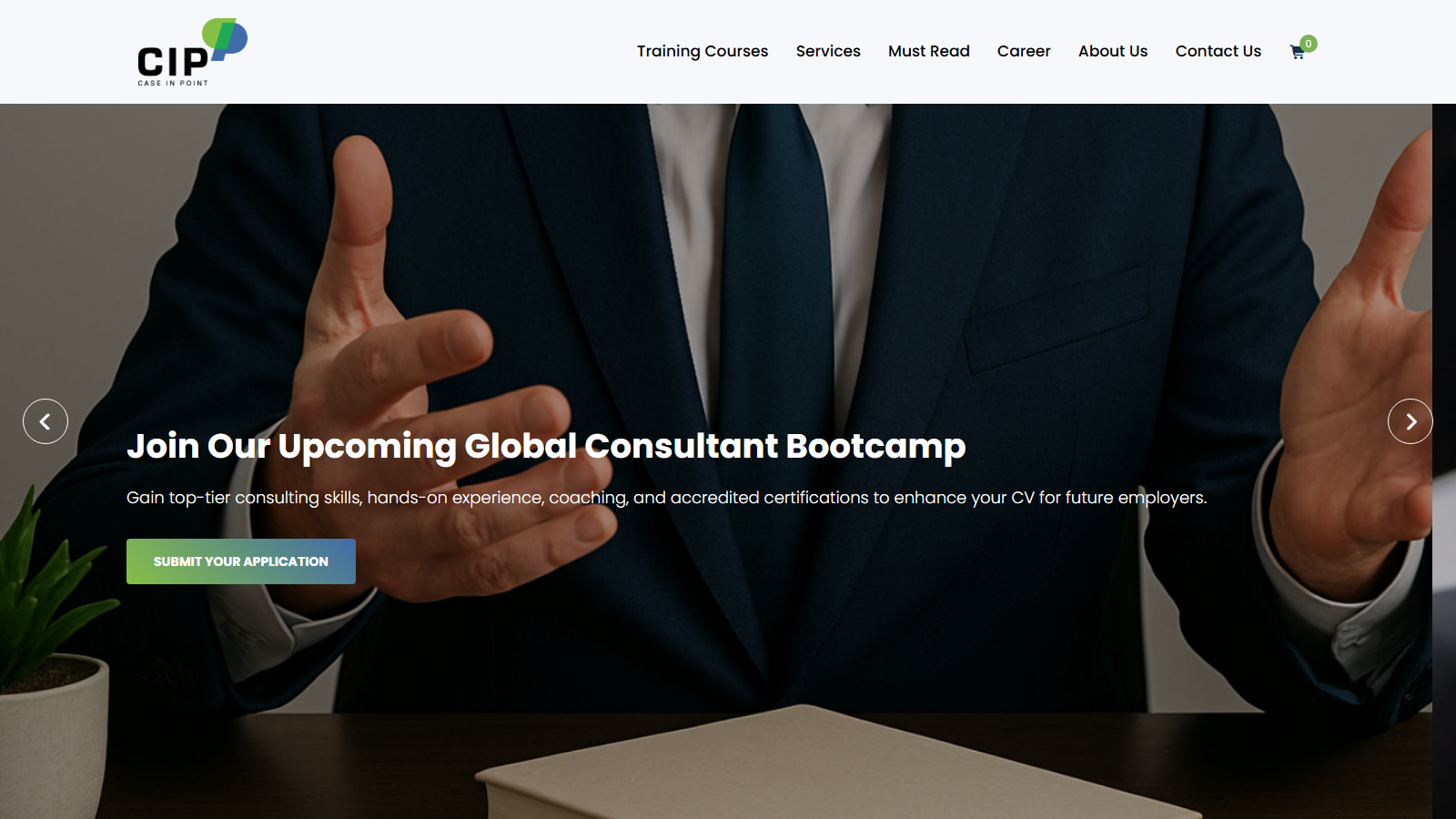 Case In Point project interface