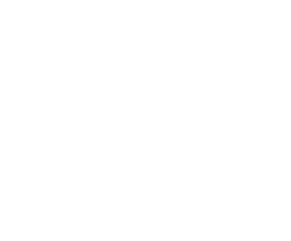 BrainTec logo