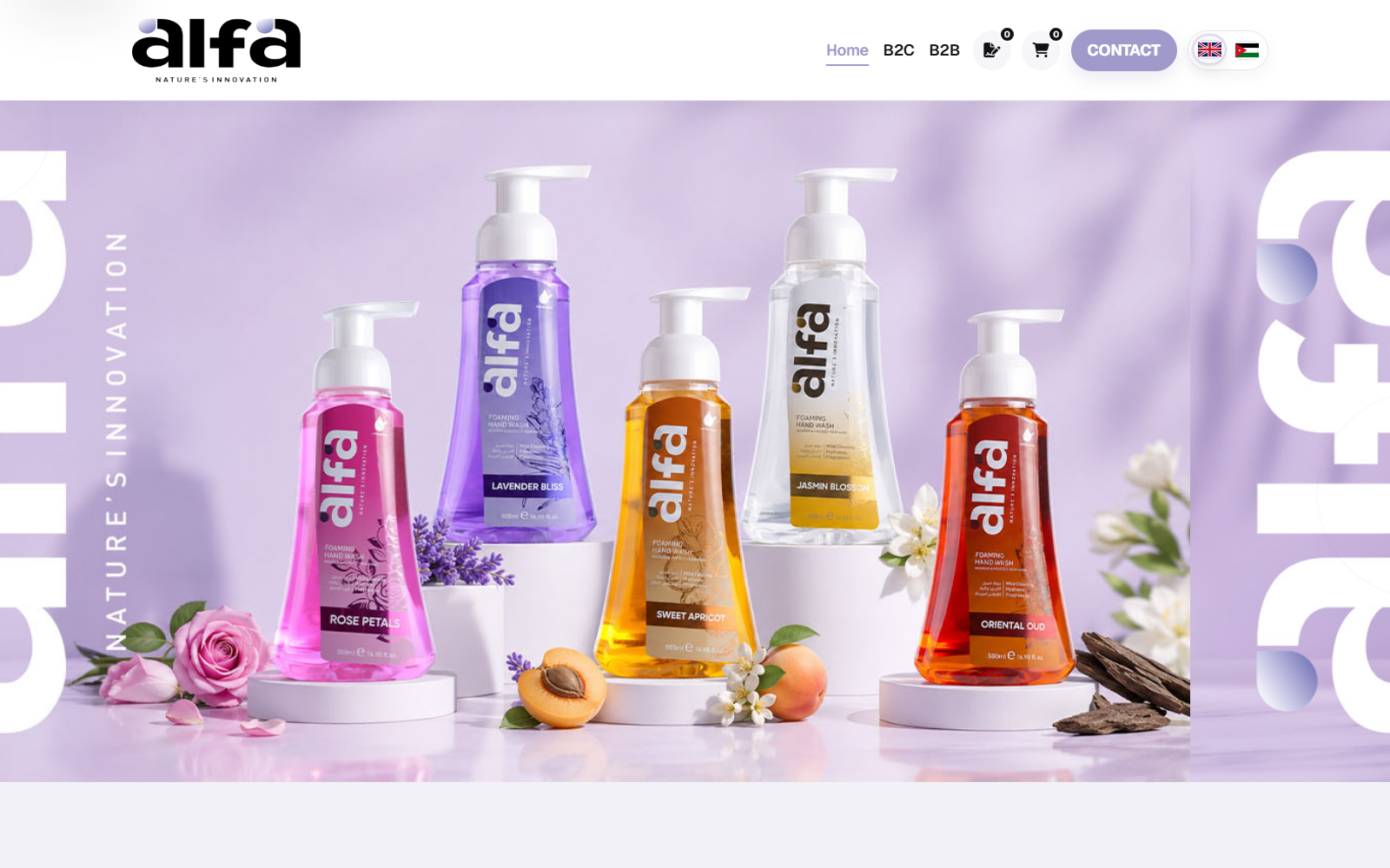 Alfa Shop project interface